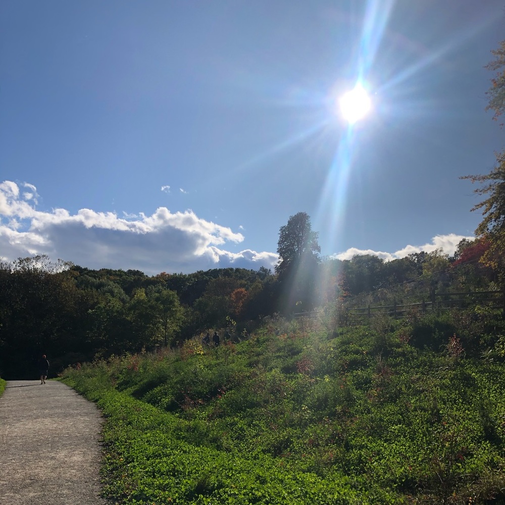 Meet your Posher, Maria